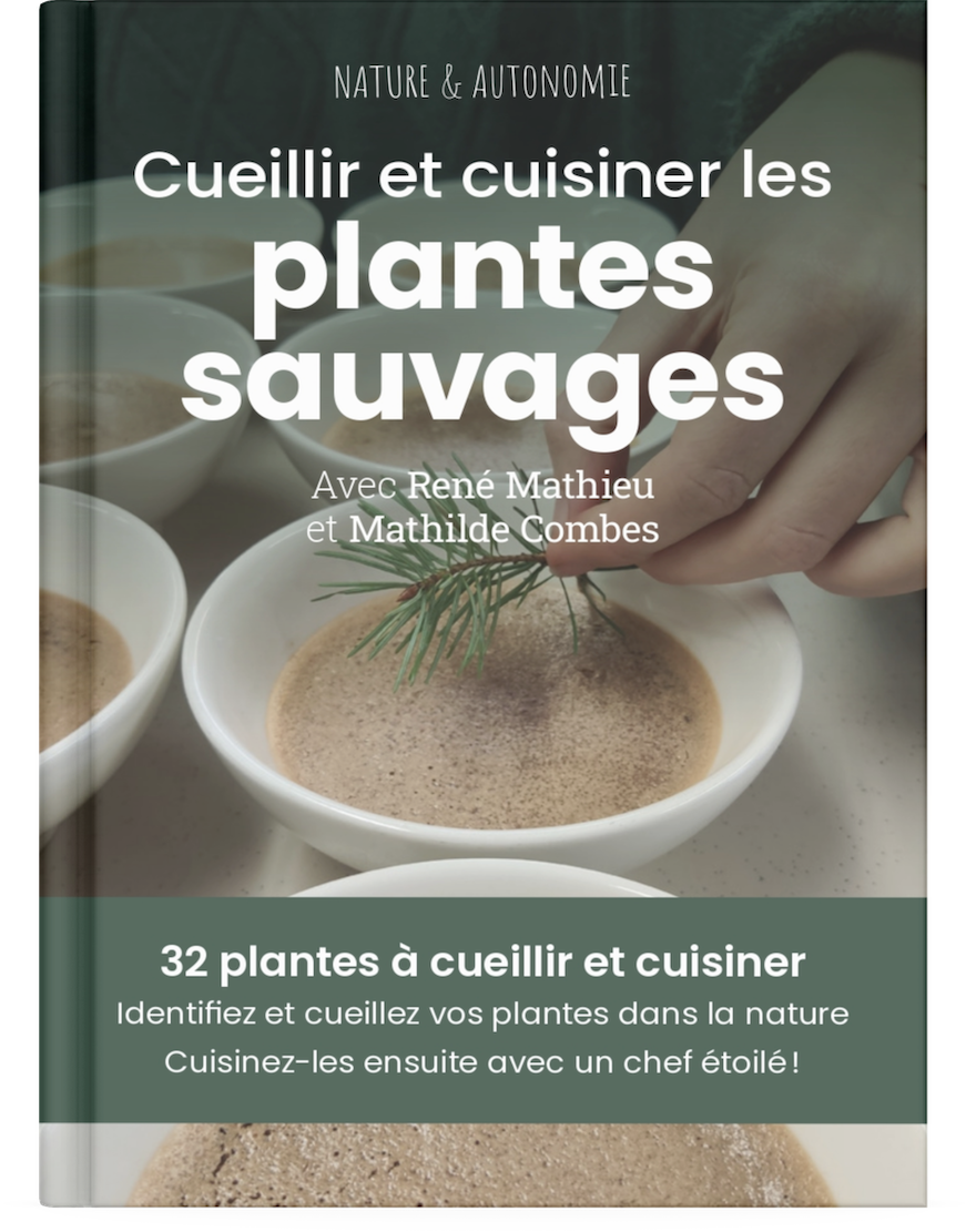 Cueillir et cuisiner les plantes sauvages avec René Mathieu et Mathilde Combes